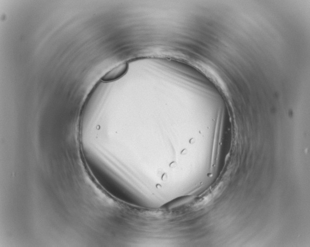 X0000089440855200707061407