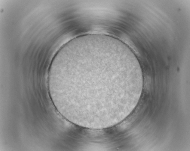 X0000089440856200707061407