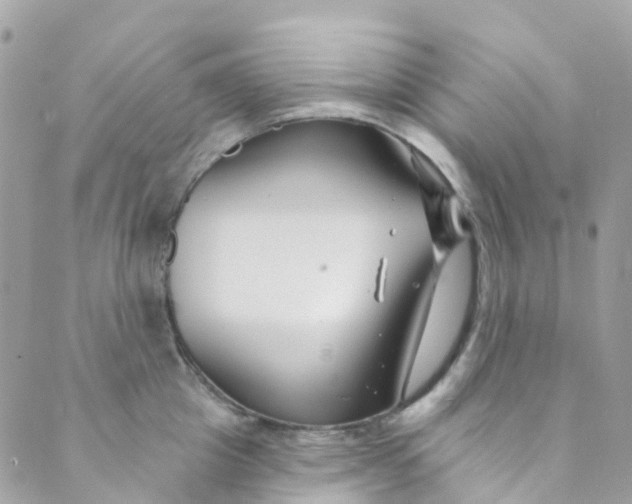 X0000089440857200707061407