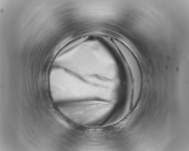 X0000089440858200707061407