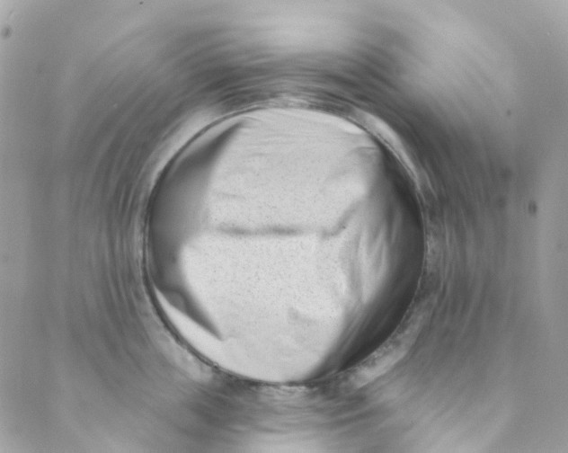 X0000089440859200707061407