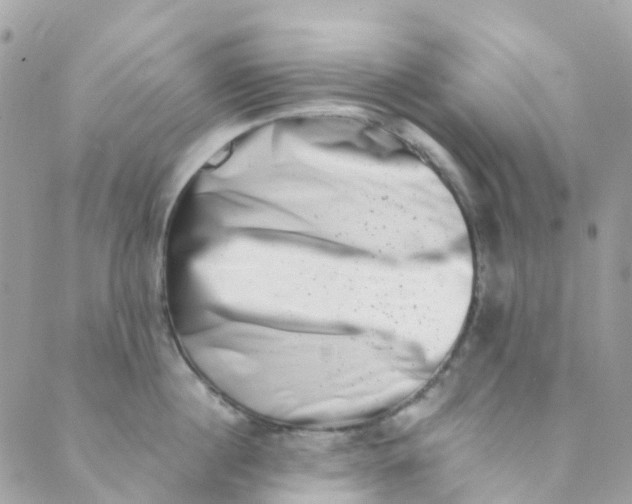 X0000089440860200707061407