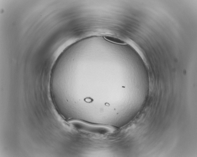 X0000089440861200707061407