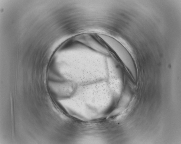 X0000089440862200707061407