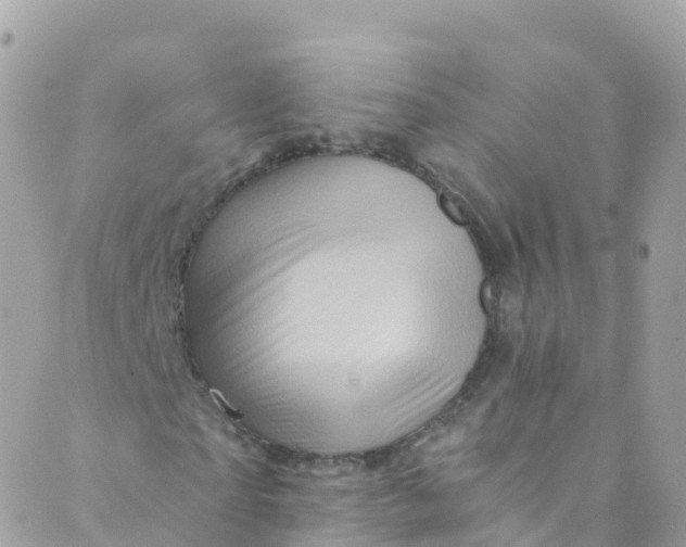 X0000089440865200707061406