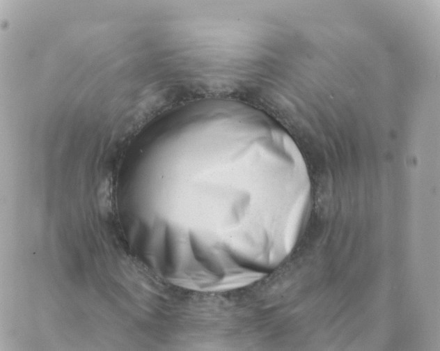 X0000089440866200707061406