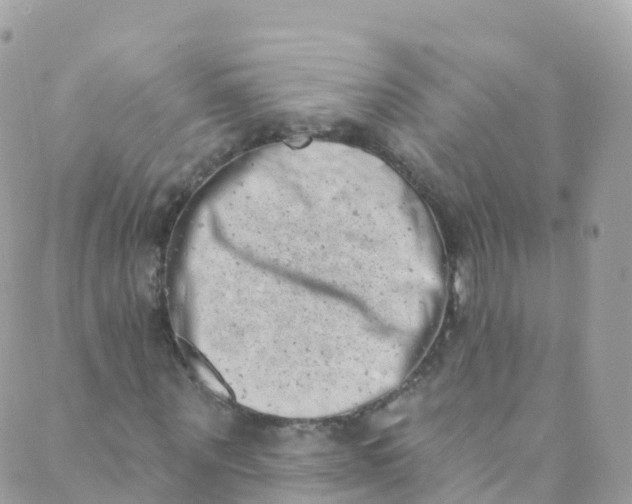 X0000089440867200707061406