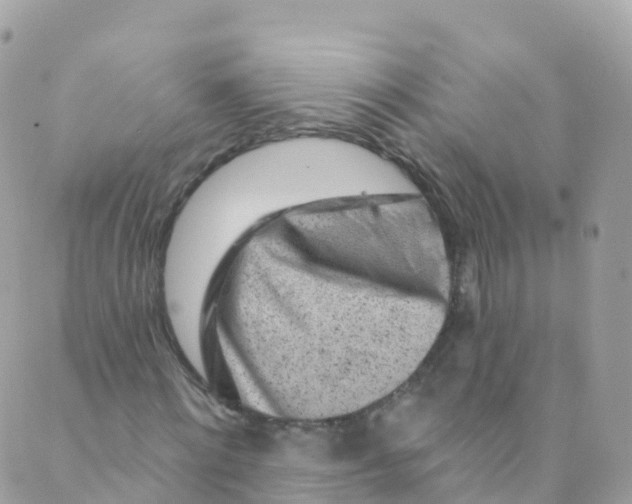 X0000089440868200707061406