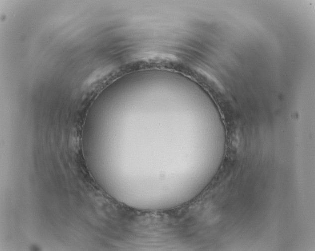 X0000089440869200707061406