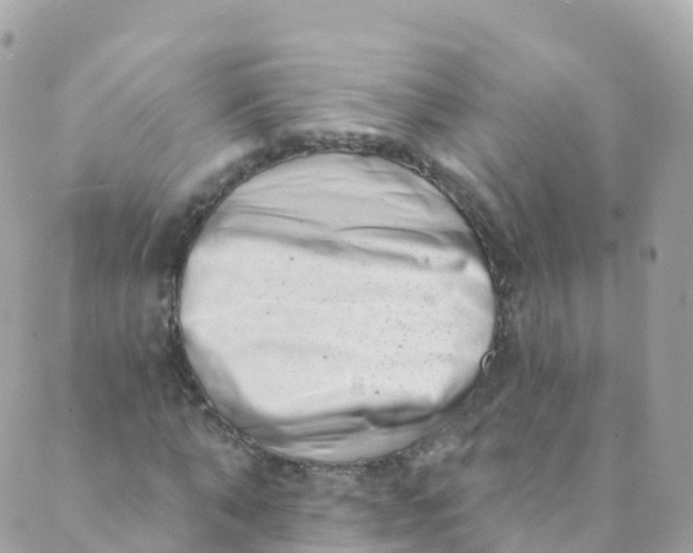 X0000089440870200707061406