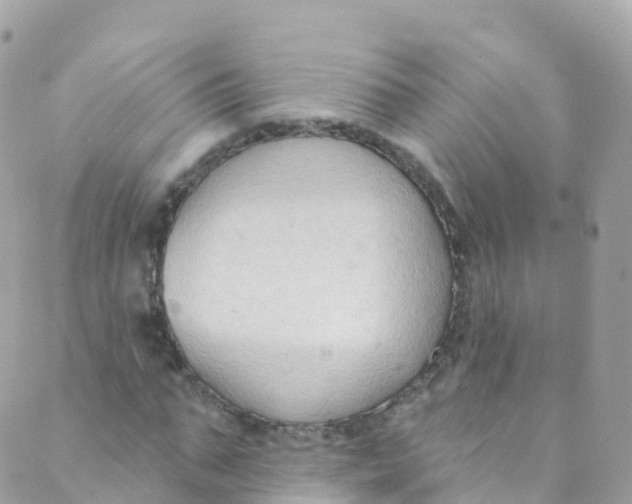 X0000089440871200707061406