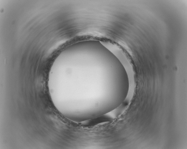 X0000089440872200707061406