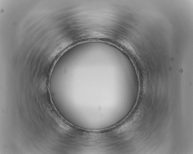 X0000089440873200707061406