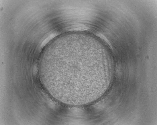 X0000089440874200707061406