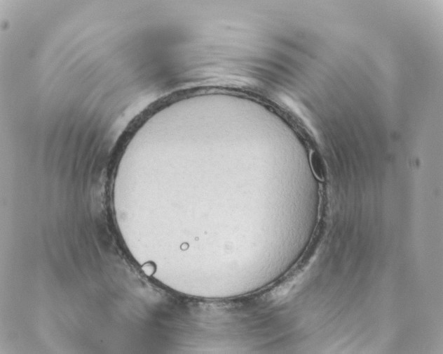 X0000089440875200707061406