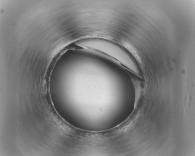 X0000089440876200707061406