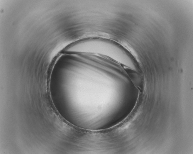 X0000089440877200707061406