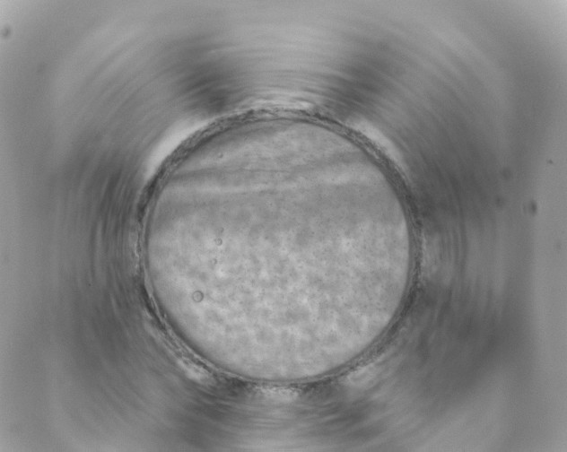 X0000089440878200707061406