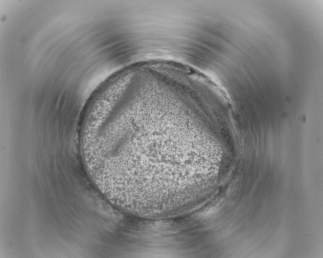 X0000089440879200707061406