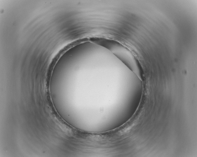 X0000089440880200707061406