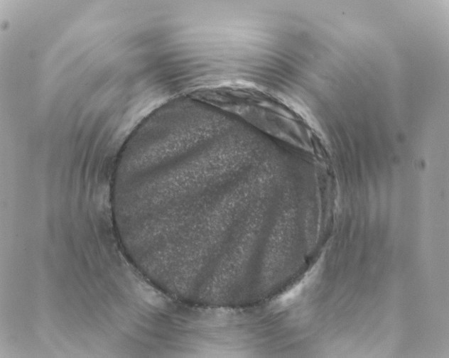 X0000089440881200707061406