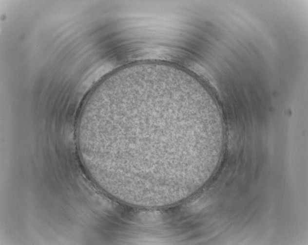 X0000089440882200707061406