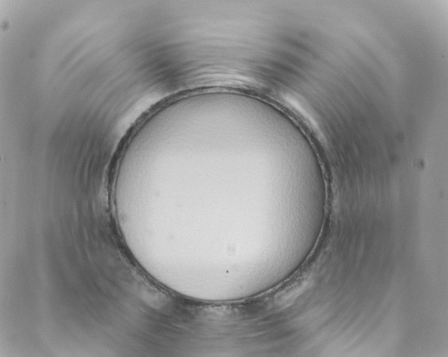 X0000089440883200707061406