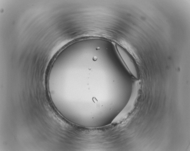 X0000089440884200707061406