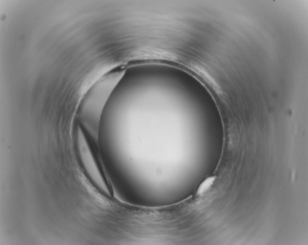 X0000089440885200707061406