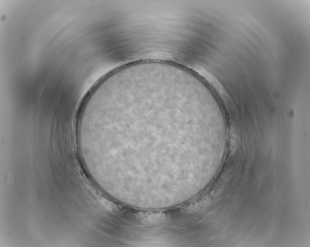 X0000089440886200707061406