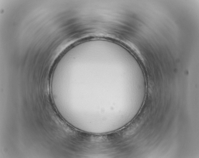 X0000089440887200707061406