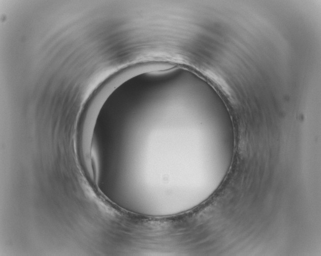 X0000089440888200707061406