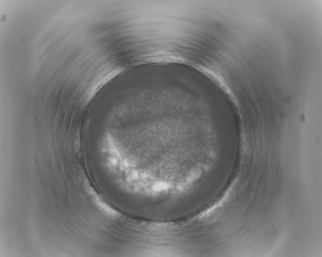 X0000089440889200707061405