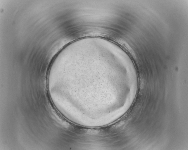 X0000089440890200707061405