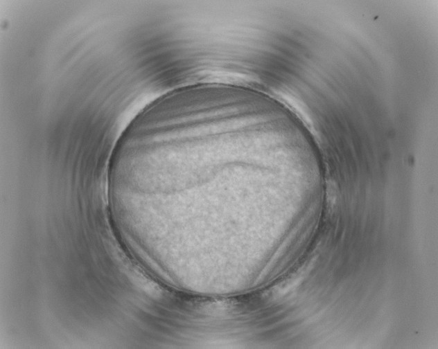 X0000089440891200707061405