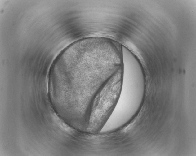 X0000089440892200707061405