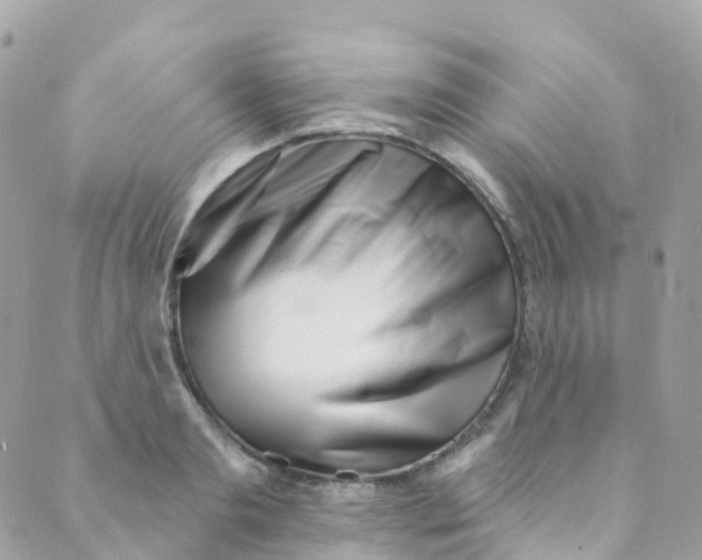 X0000089440893200707061405