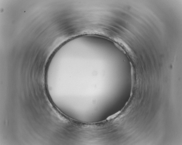 X0000089440894200707061405