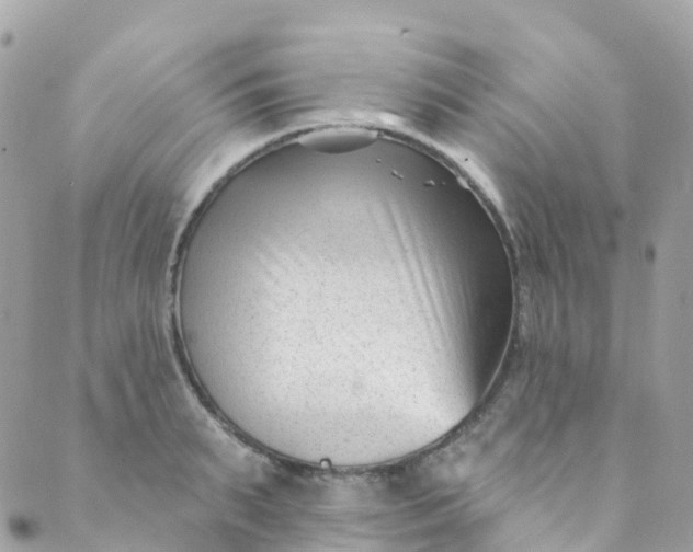 X0000089440895200707061405