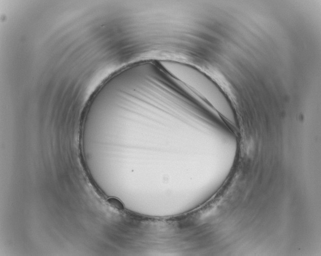 X0000089440896200707061405