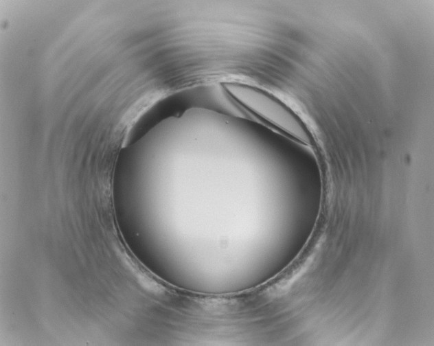 X0000089440897200707061405