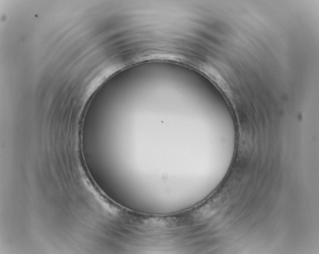 X0000089440898200707061405