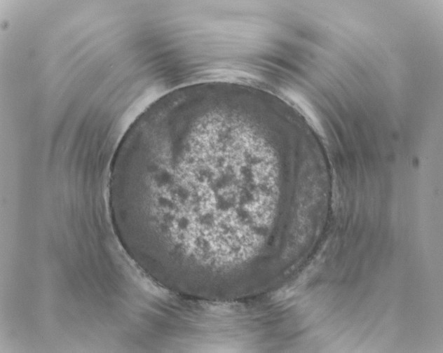 X0000089440899200707061405