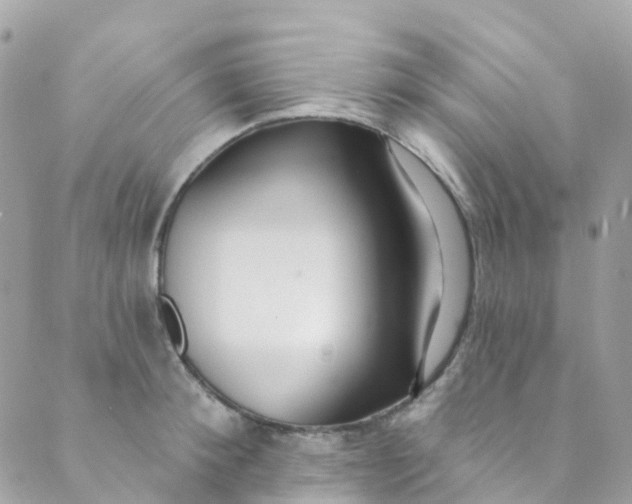 X0000089440900200707061405