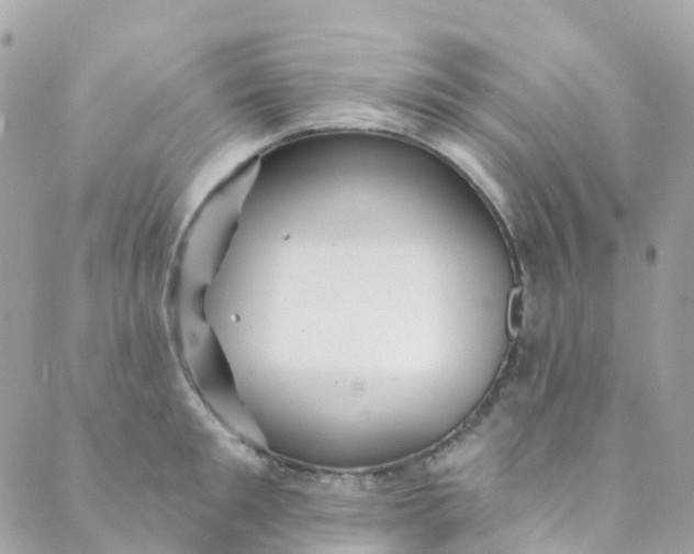 X0000089440901200707061405