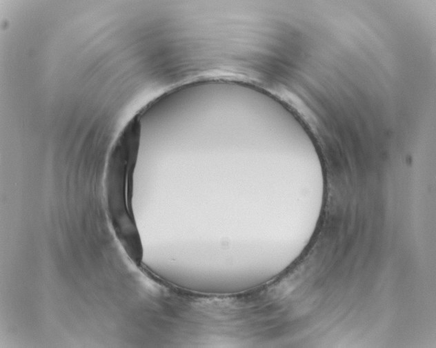 X0000089440902200707061405