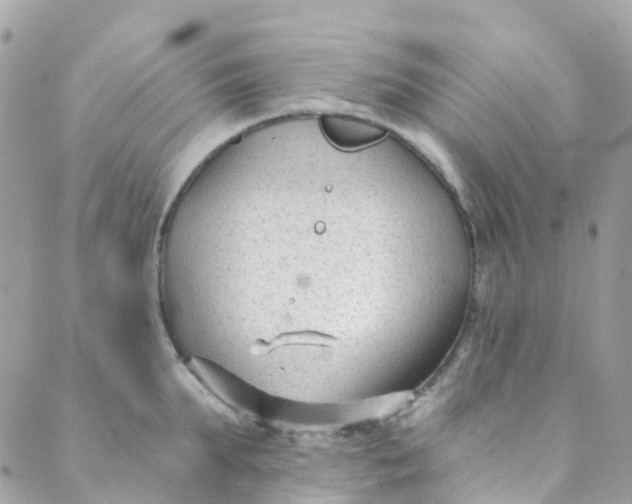 X0000089440903200707061405