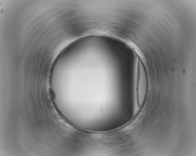 X0000089440904200707061405