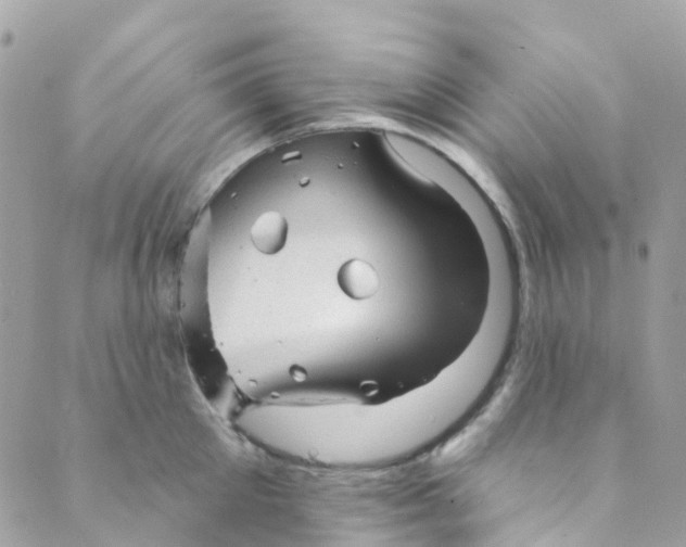 X0000089440905200707061405