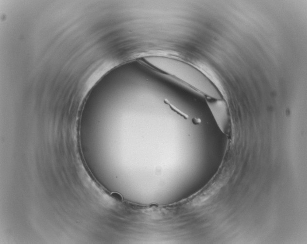 X0000089440906200707061405